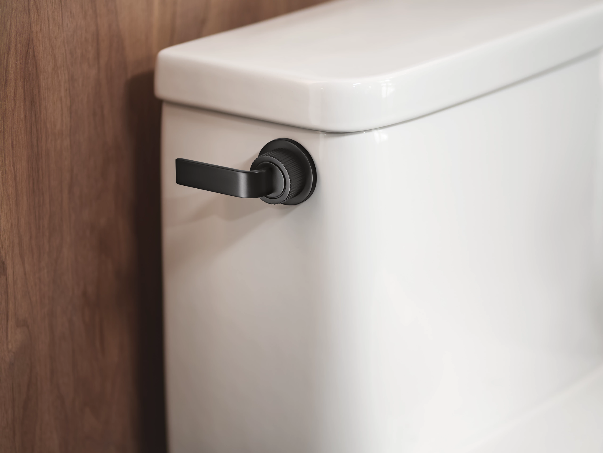 Moen YB0601 Cambium Chrome tank lever