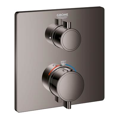 Grohe Dual Function 2-Handle Thermostatic Valve Trim 24111