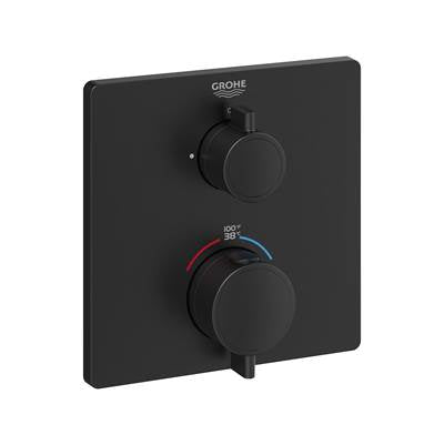 Grohe Dual Function 2-Handle Thermostatic Valve Trim 24111