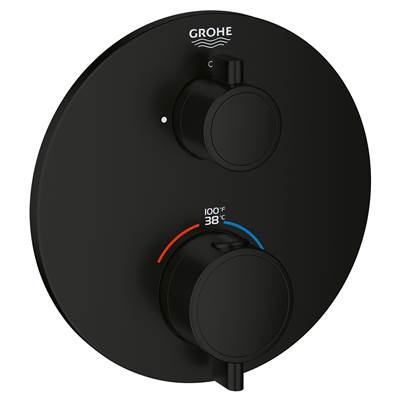 Grohe Single Function 2-Handle Thermostatic Valve Trim 24107