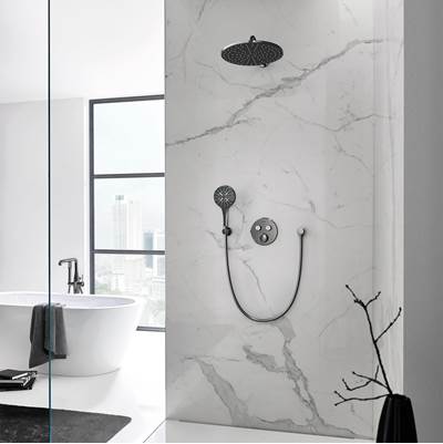Grohe Hand Shower - 3 Sprays, 1.75 gpm 26545