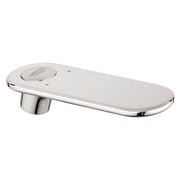 Grohe Lever 46661