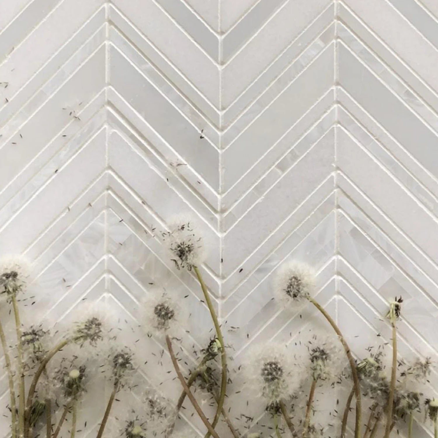 Chevron Waterjet Mosaic Pure White and Mother of Pearl