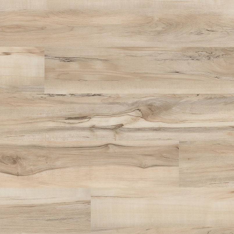MSI Surfaces Cyrus 2.0 Akadia luxury vinyl plank flooring