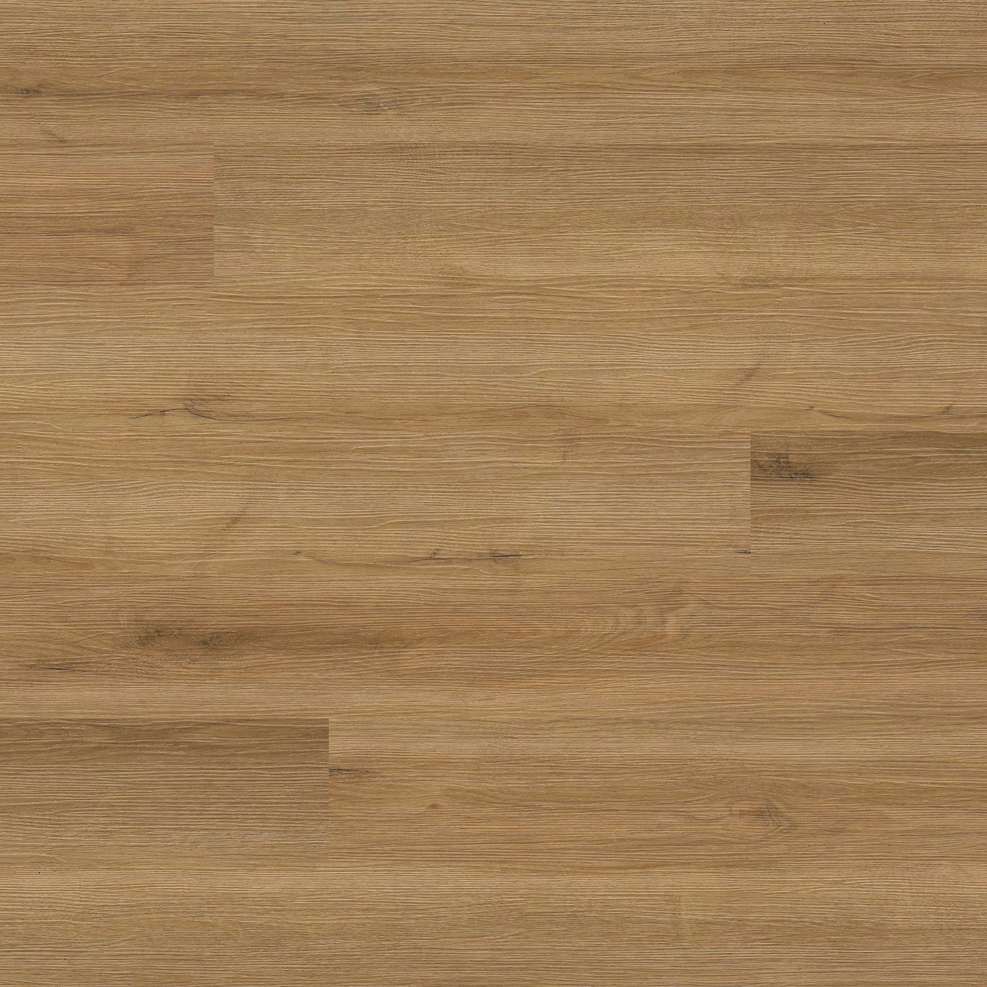 MSI Surfaces Cyrus 2.0 Amber Forrester luxury vinyl plank flooring