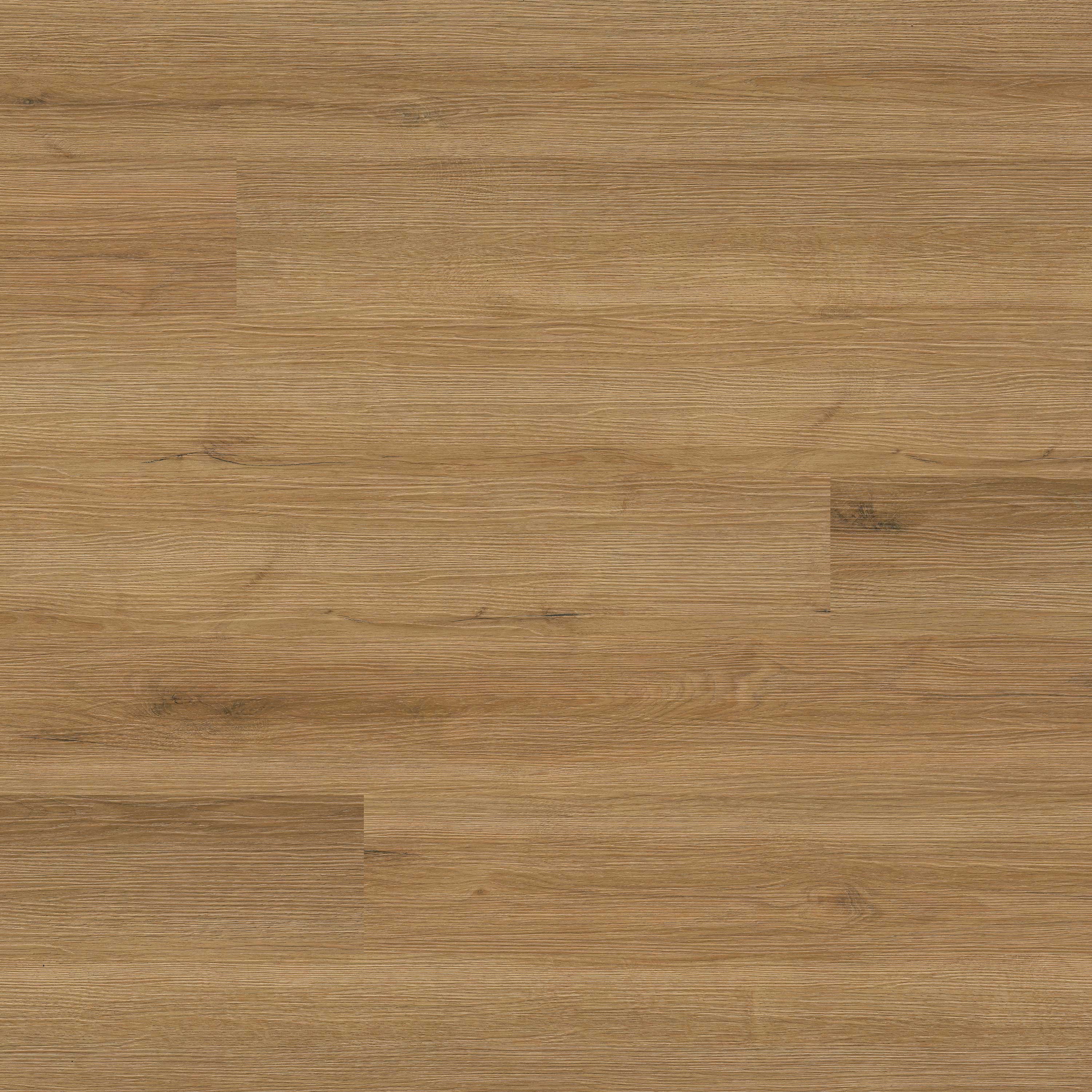 MSI Surfaces Cyrus 2.0 Amber Forrester luxury vinyl plank flooring