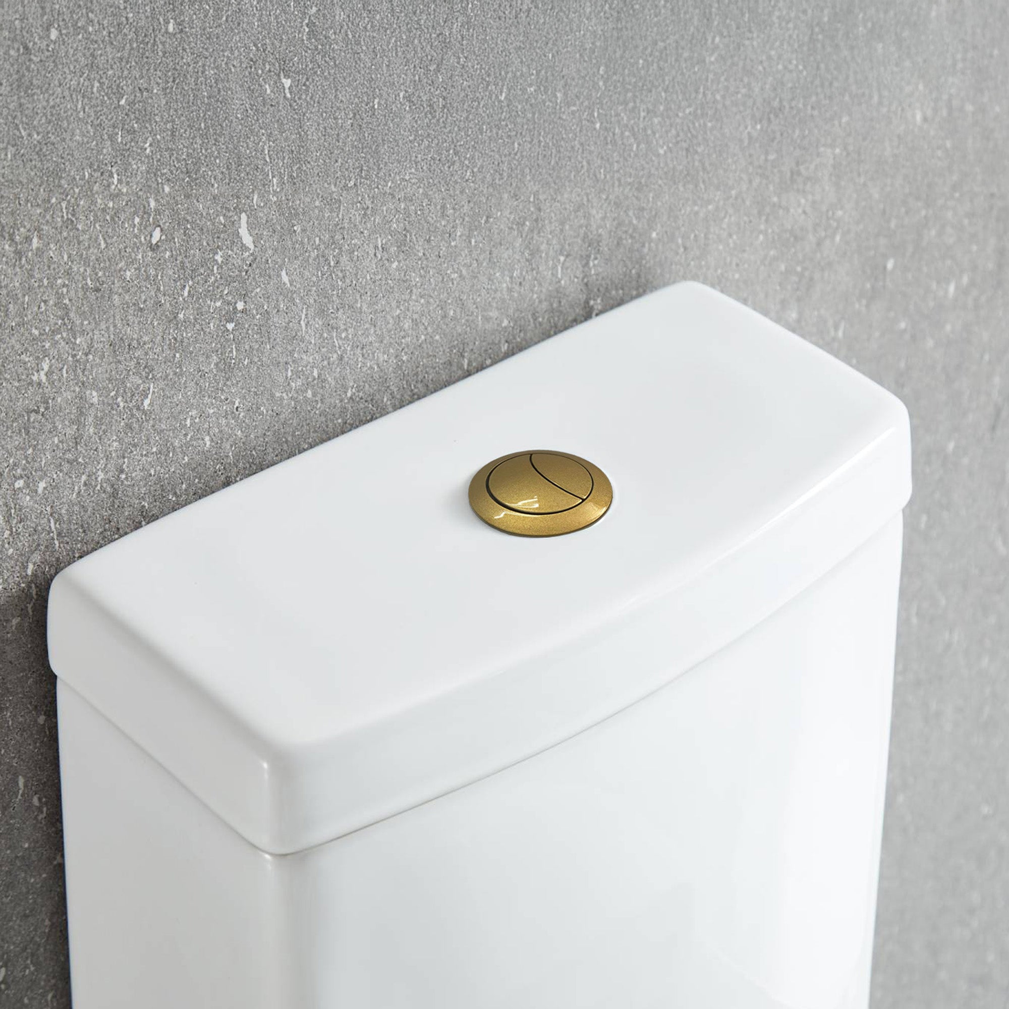 One Piece Toilet T9 01 – Compact Dual-Flush Toilet with Nanoglaze