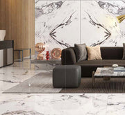 CAPRAIA REC - POLISHED 24x48 - $7.48sqft