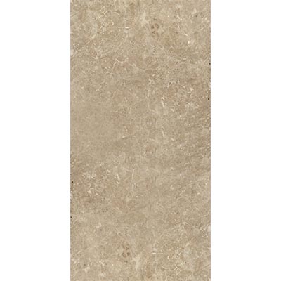 Cappuccino Polished Marble Tile 12"X24"