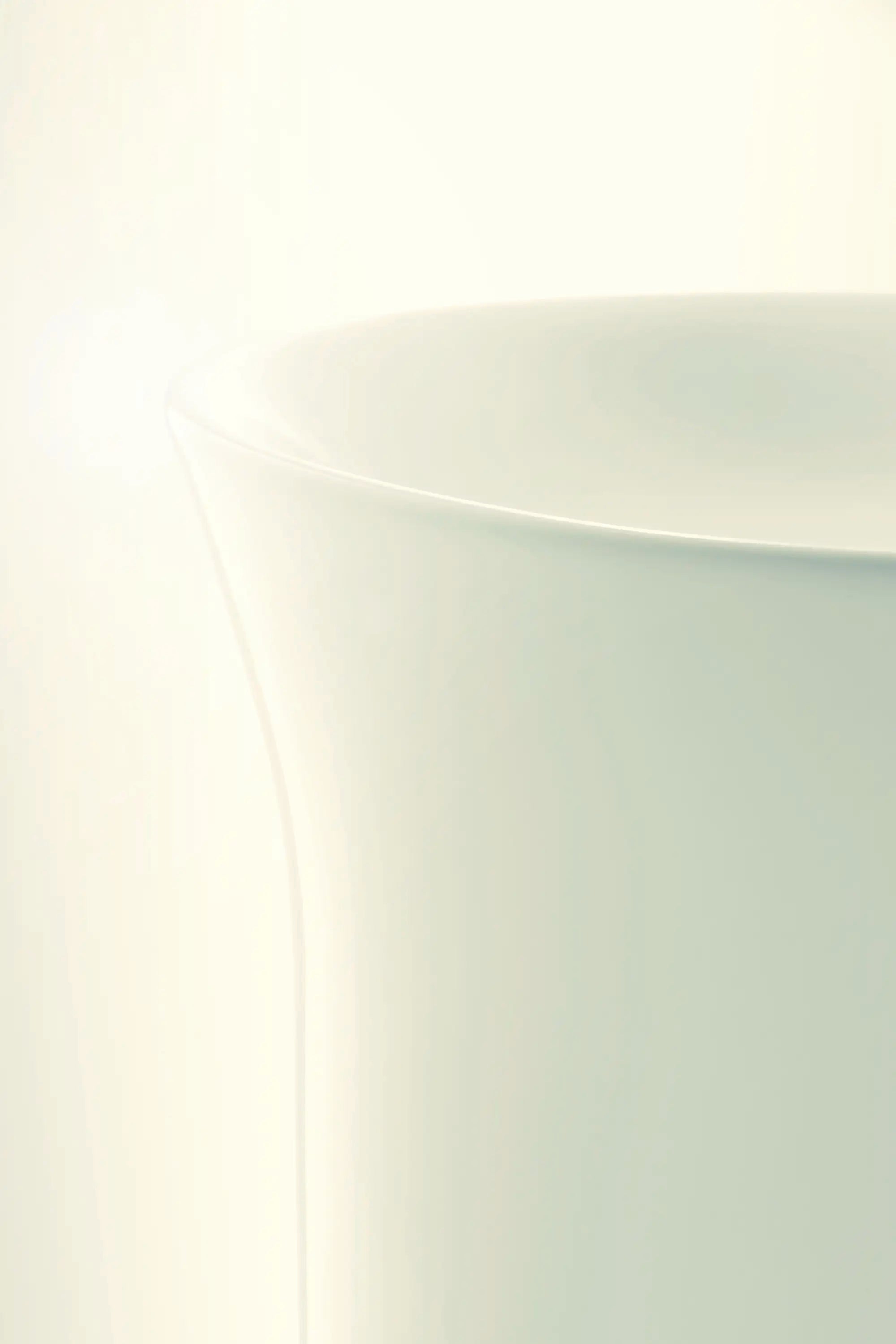 Duravit White Tulip19 5/8'' Pedestal Sink in White with Rear Outlet