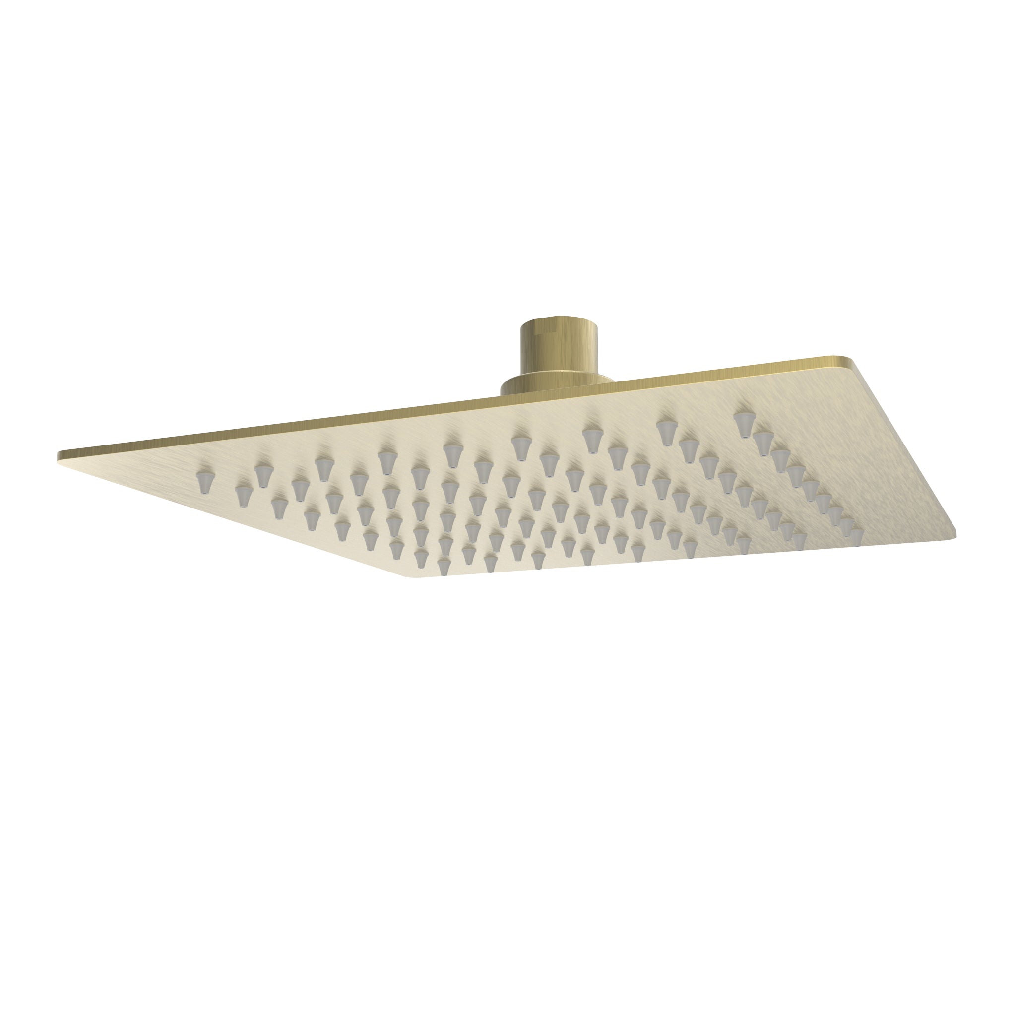 Ascend Square Shower Head