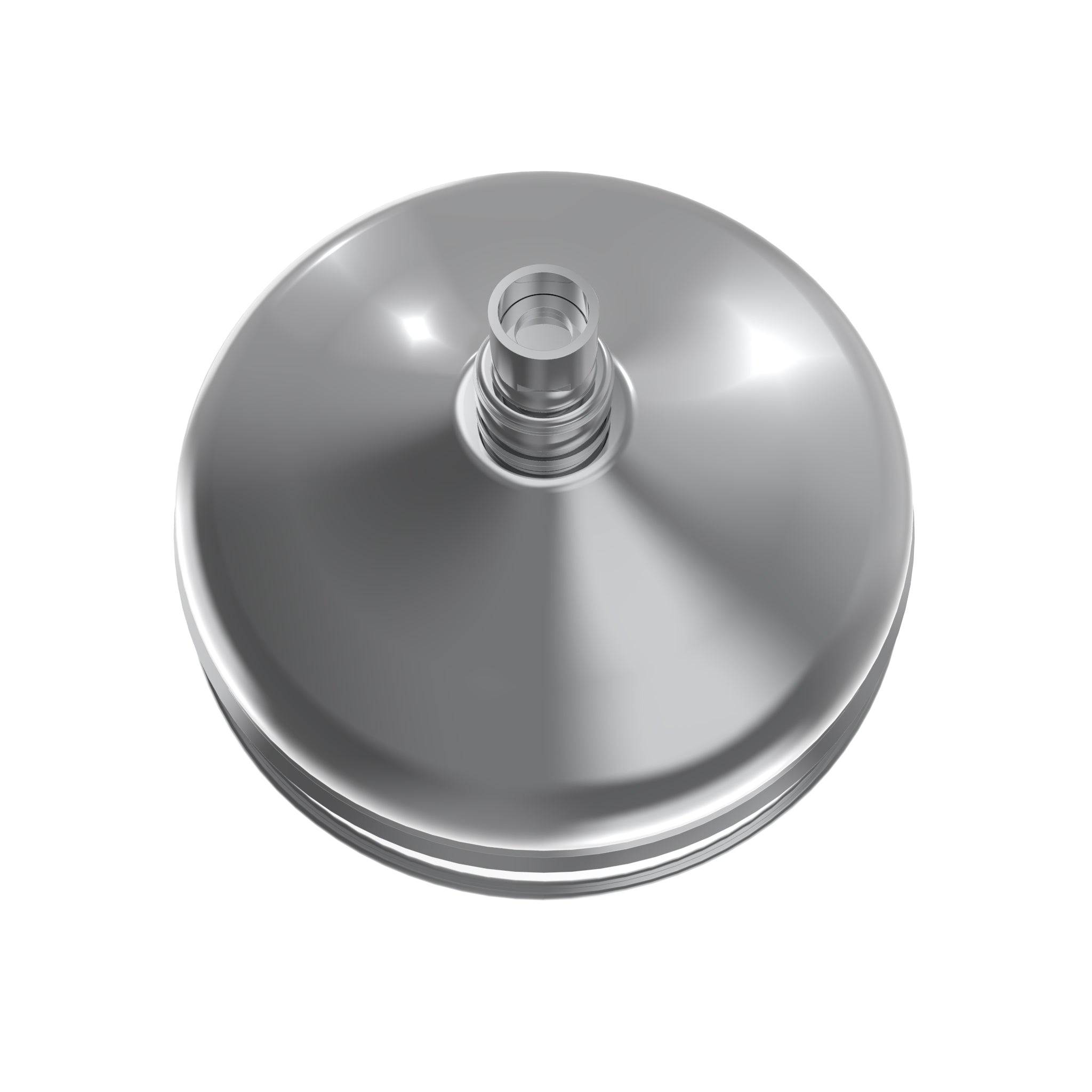 Levantine Shower Head