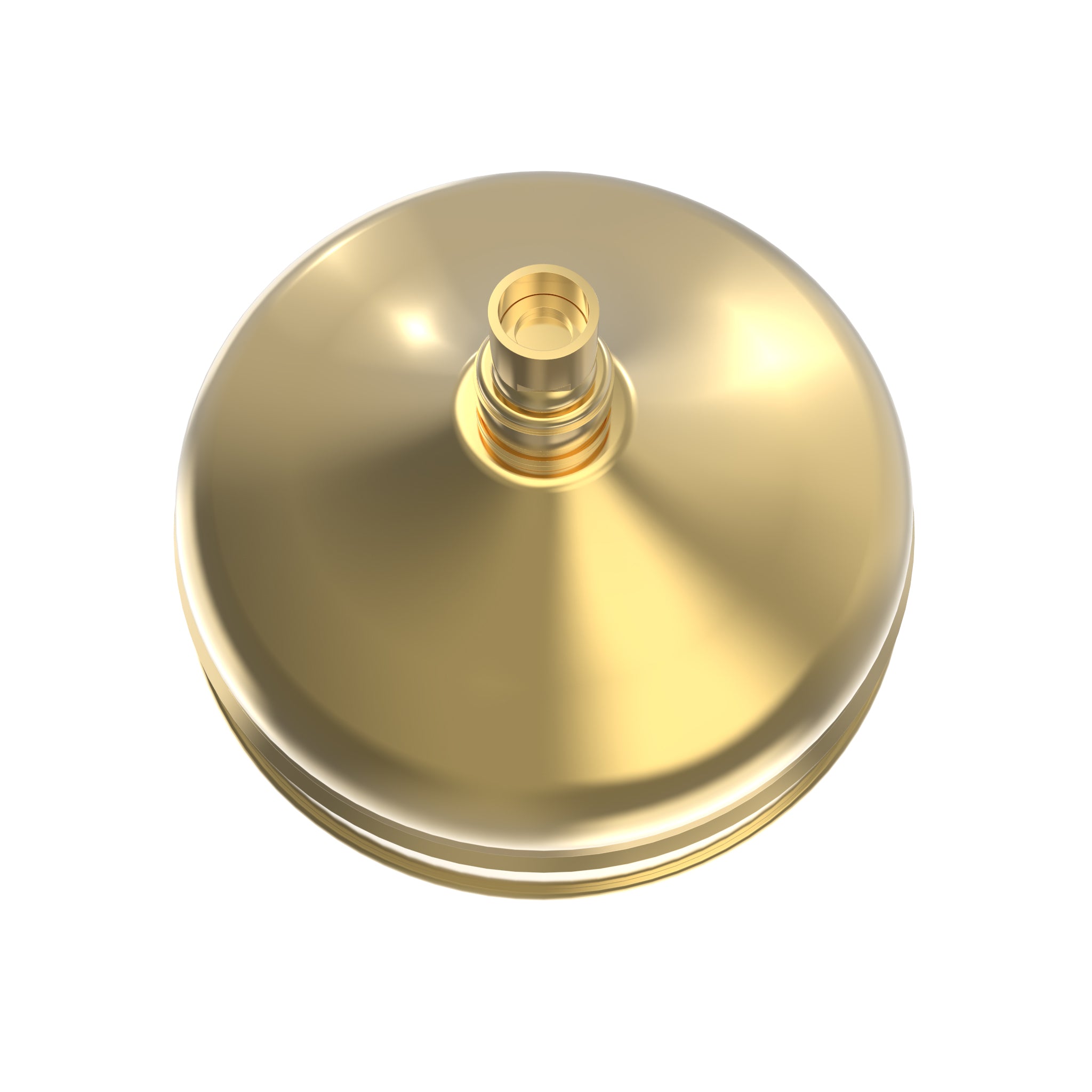 Levantine Shower Head