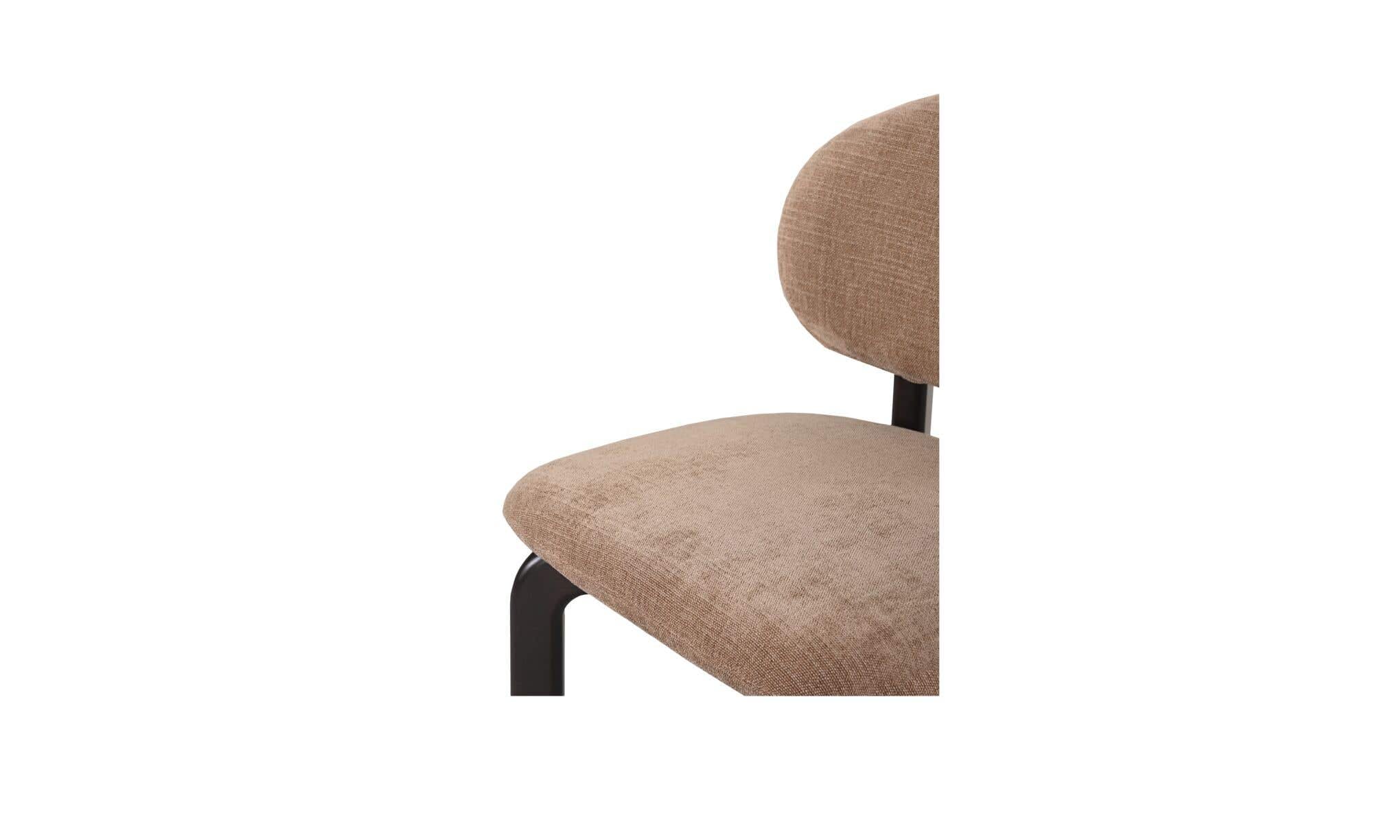 Moes Sami Dining Chair Set Of Two EQ-1027