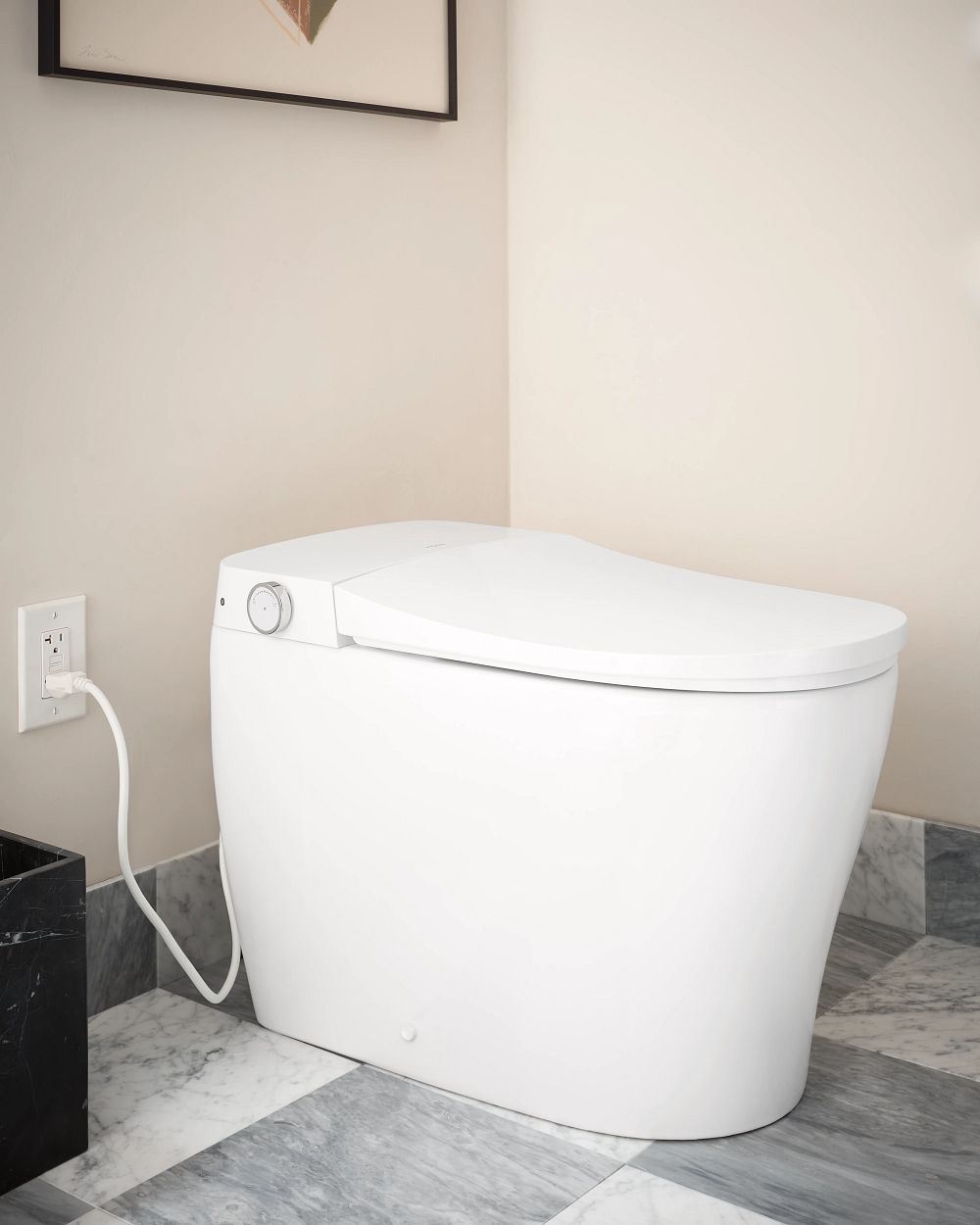 Moen 2-series Electronic Cleansing Toilet
