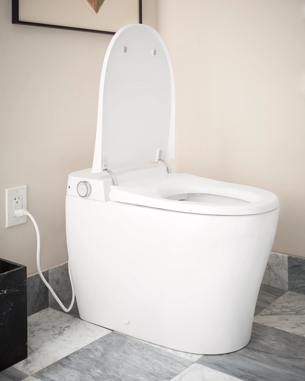 Moen 2-series Electronic Cleansing Toilet