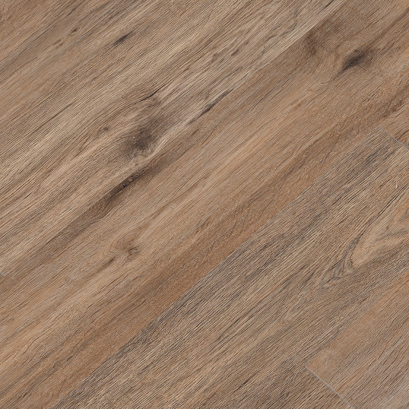 MSI Surfaces Cyrus 2.0 Fauna luxury vinyl plank flooring