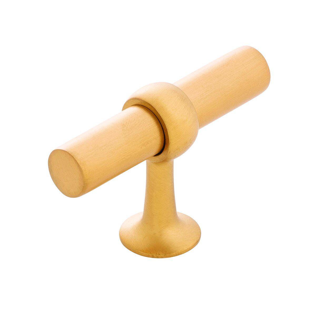 2-1/2 Inch X 13/16 Inch Ostia T-Knob