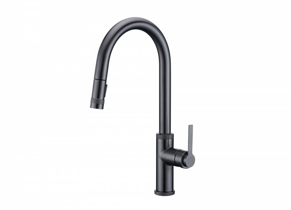 Dawn Single Lever Pull-out Spray Kitchen Faucet AB50 3658