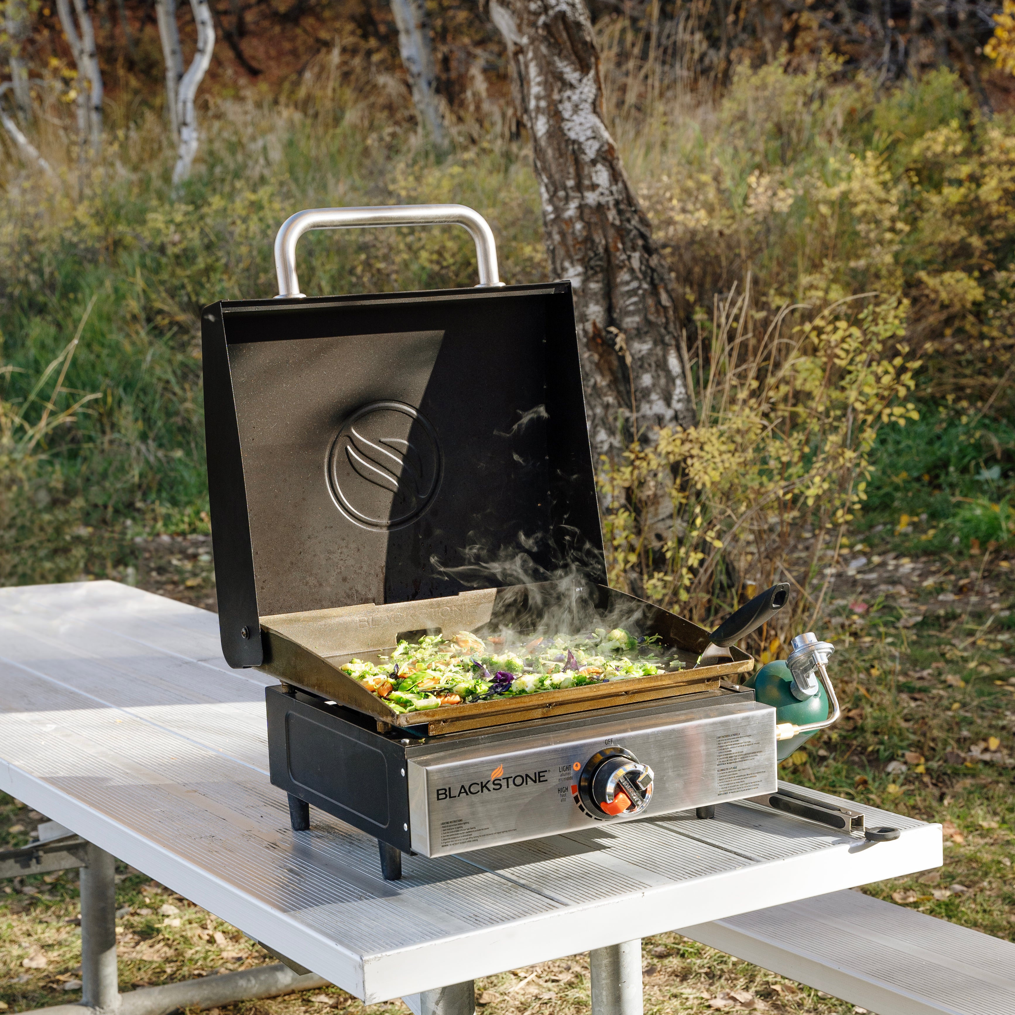 Blackstone 2487 - Original 17" Blackout Omnivore Tabletop Stainless with Hood