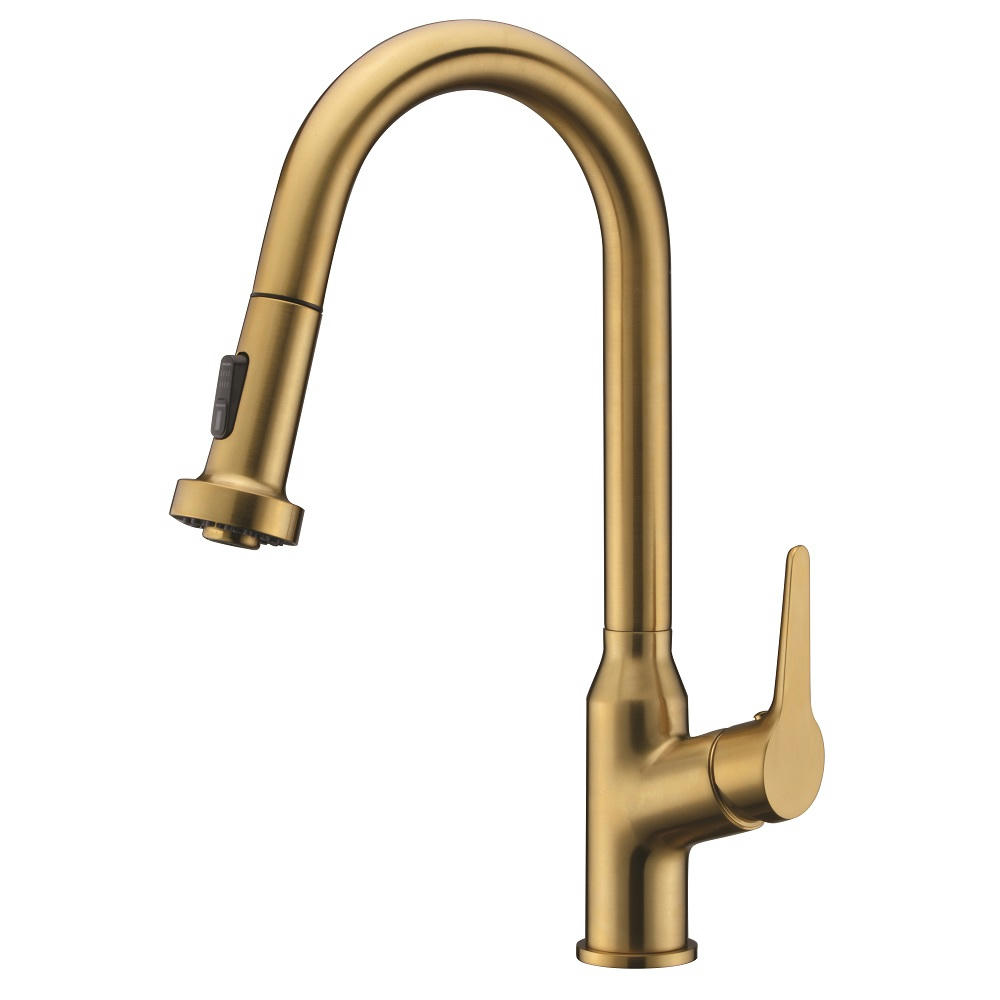 Dawn Single Lever Pull-down Kitchen Faucet AB50 3776