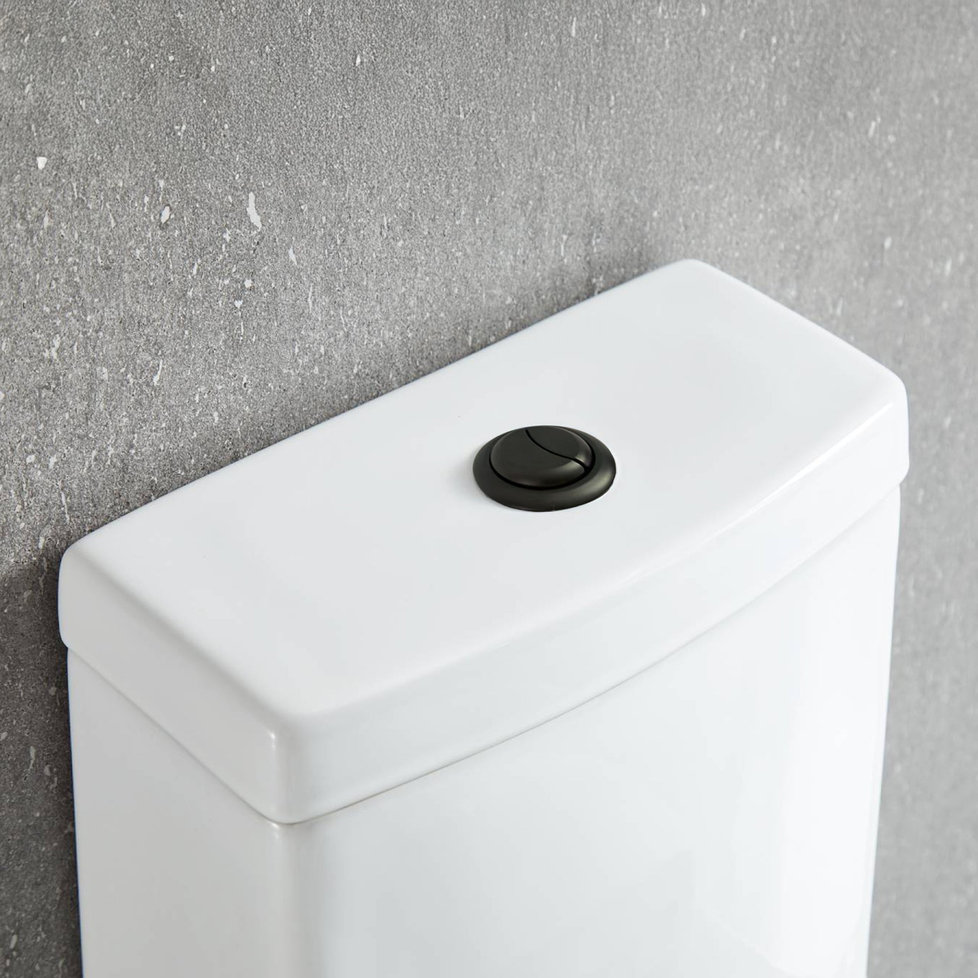One Piece Toilet T9 01 – Compact Dual-Flush Toilet with Nanoglaze