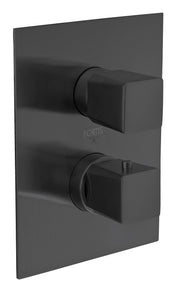 9469100BB Trim 691 Thermostatic 1/2"