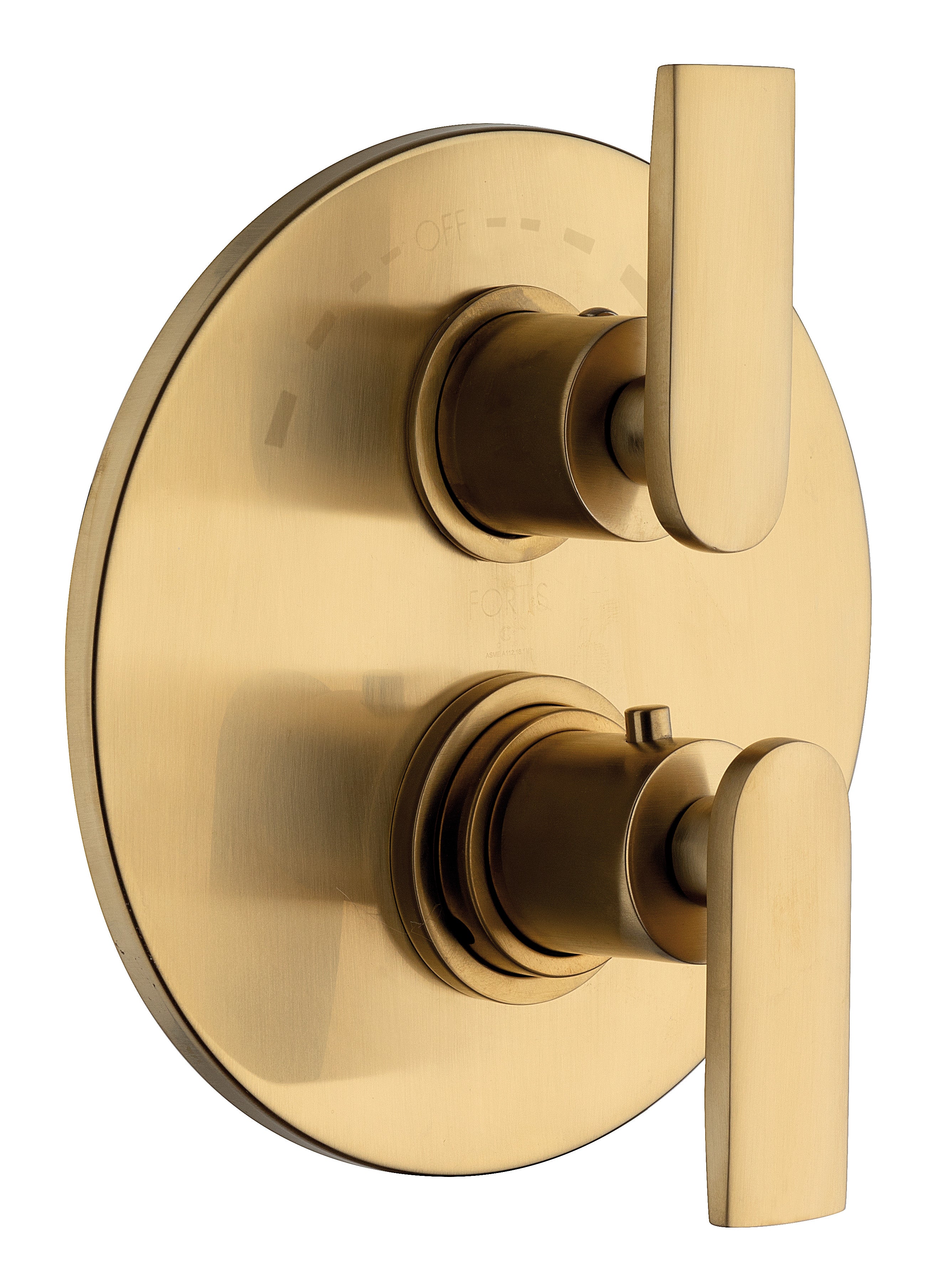 6069100BG Trim 691 Thermostatic 1/2"