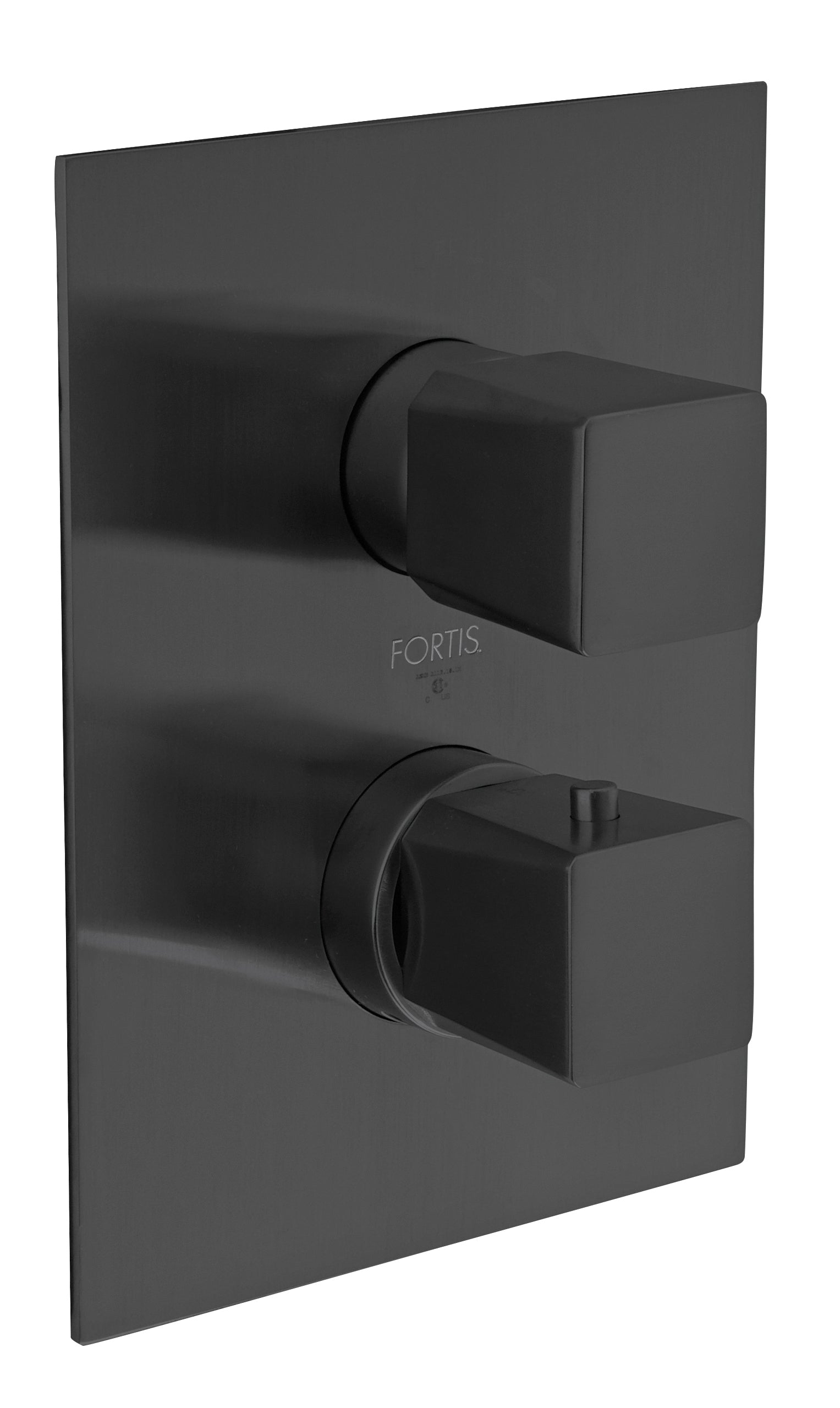 9469000MB Trim 690 Thermostatic 3/4"
