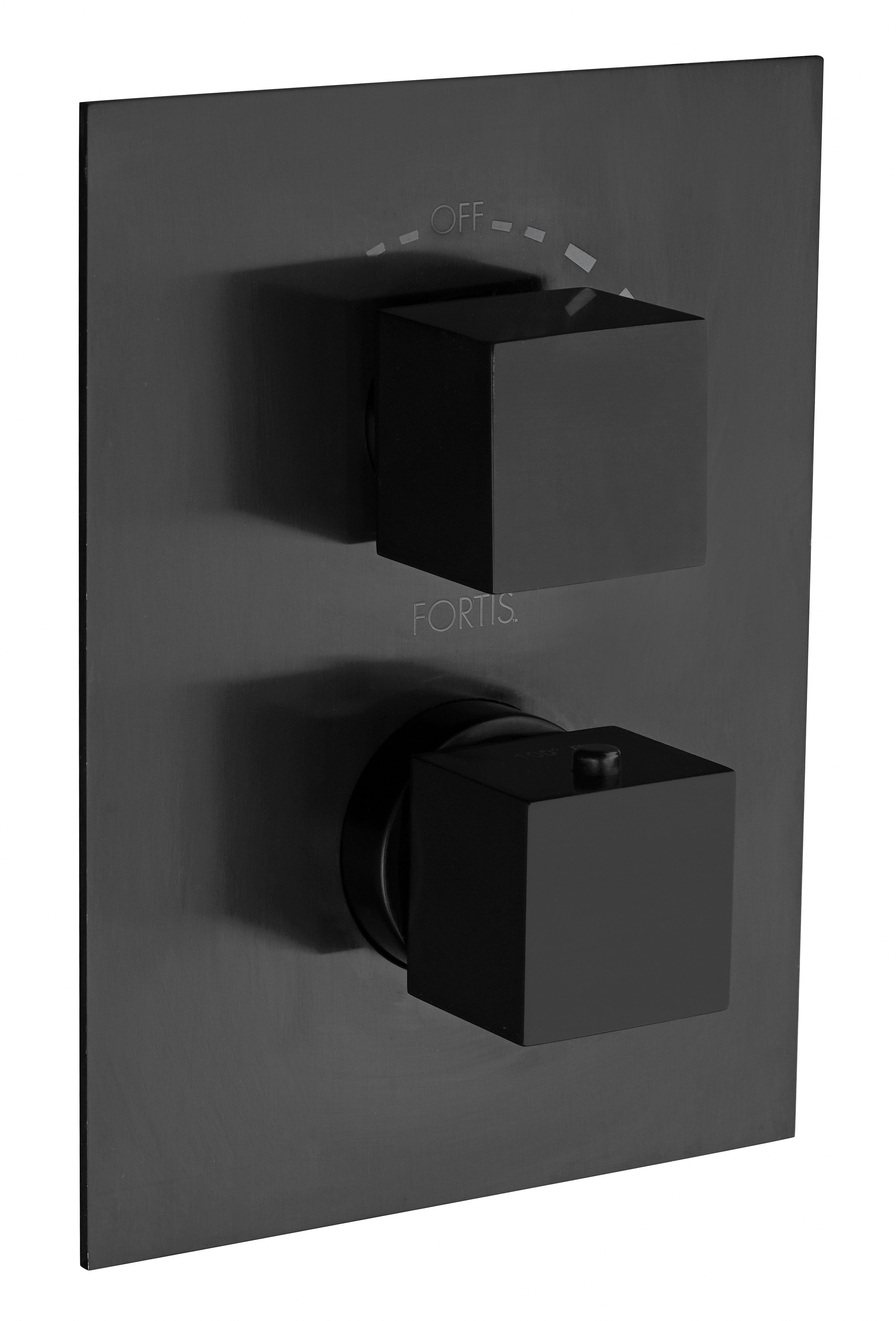 84691SQBB Trim 691 Thermostatic 1/2"