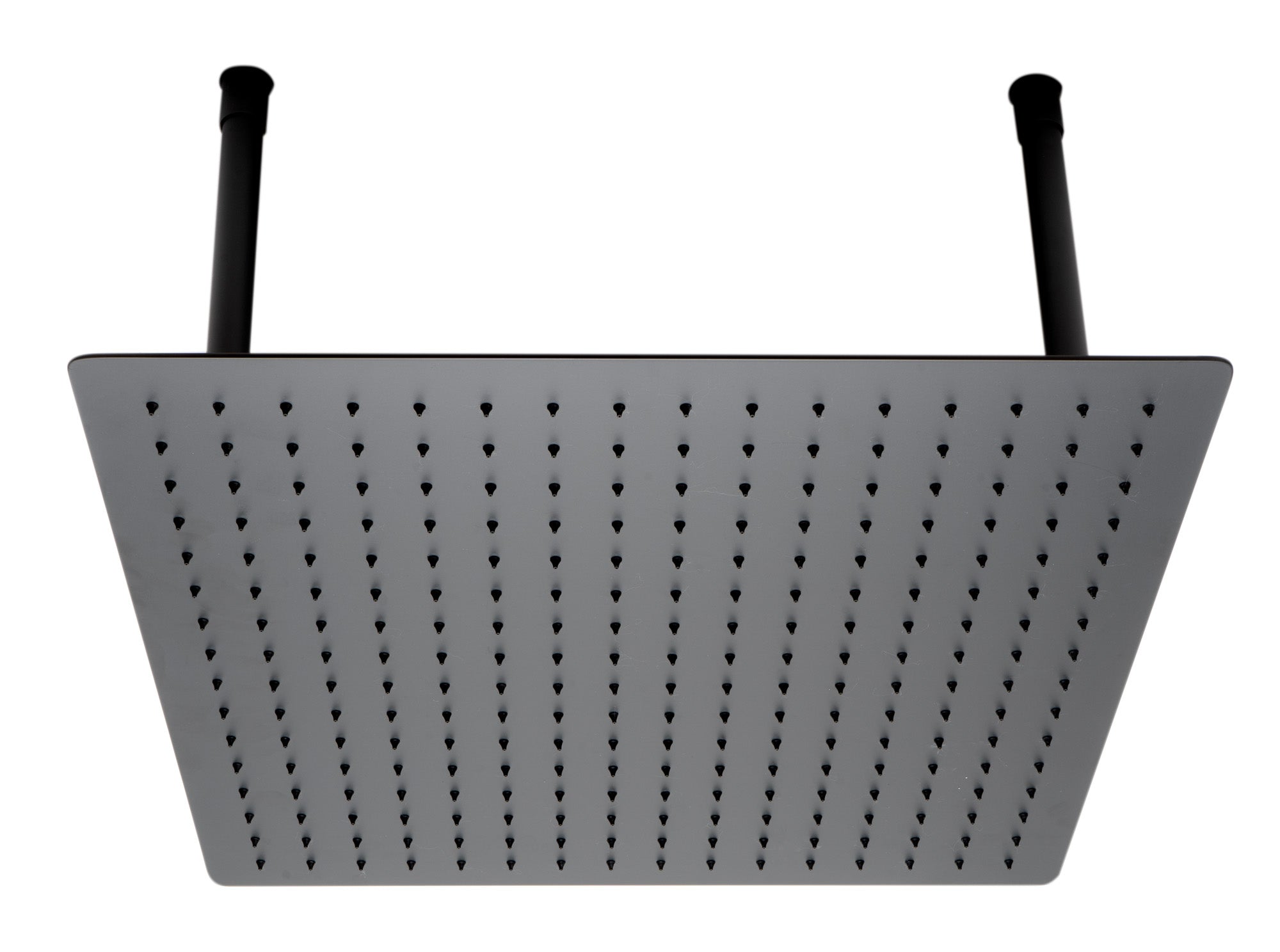 ALFI brand RAIN20S 20" Square Ultra-Thin Rain Shower Head