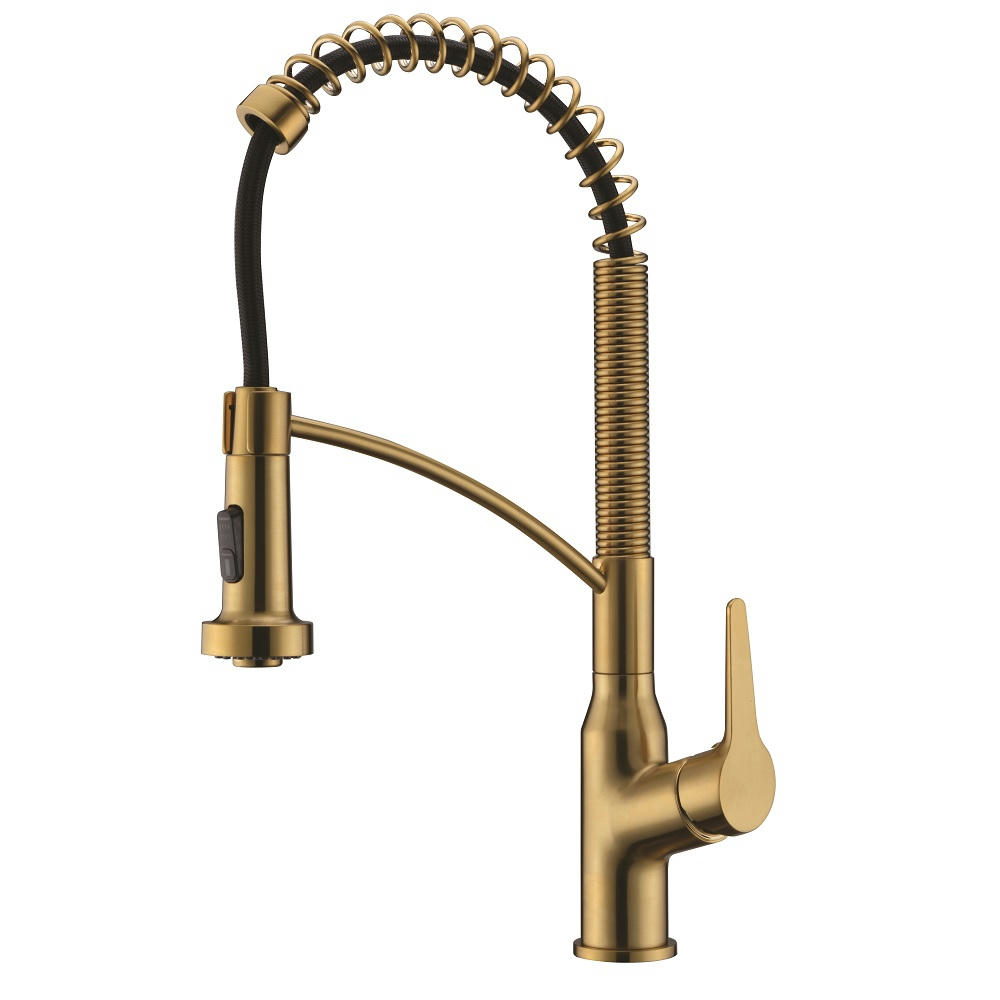 Dawn Single Lever Pull-down Kitchen Faucet AB50 3777