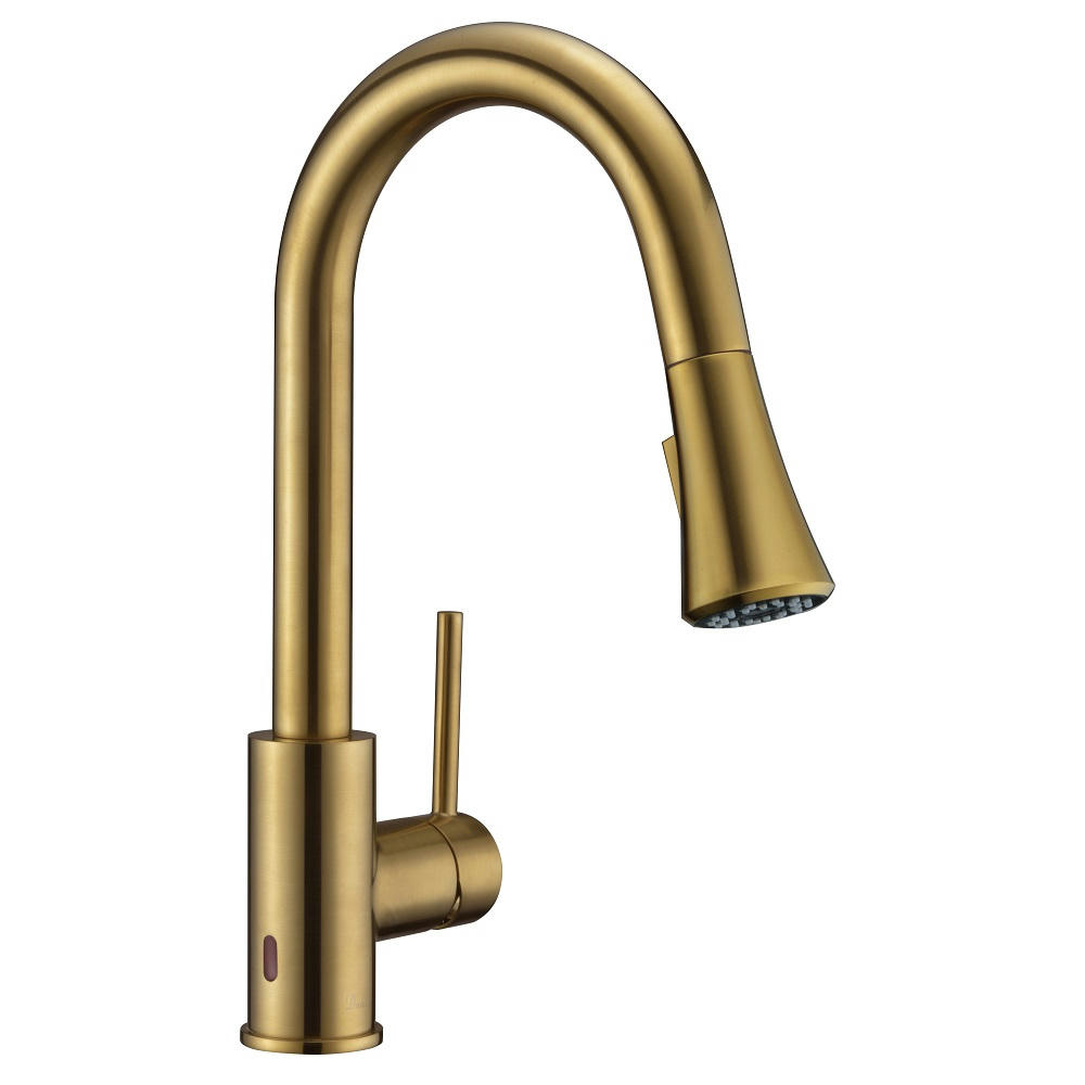 Dawn Single-lever pull down & Sensor spray kitchen faucet AB50 3262