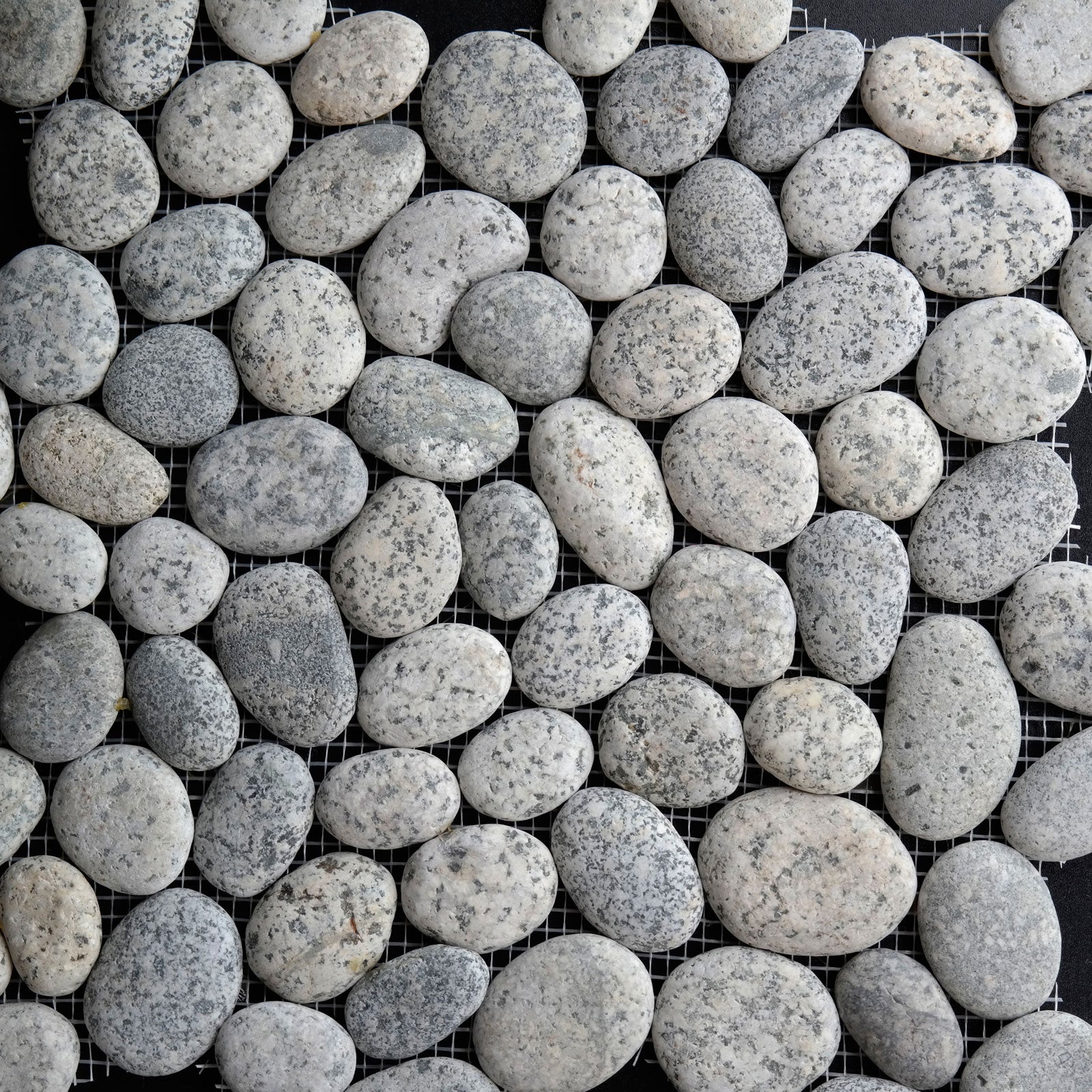 Round Pebble Mosaic Speckled Stone Honed