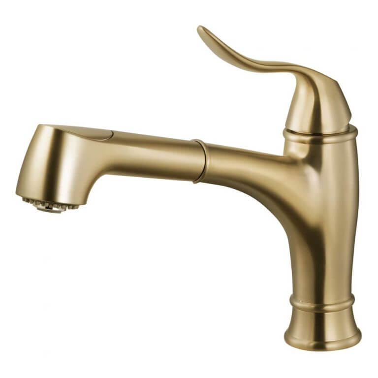 Surge Pull Out Kitchen Faucet