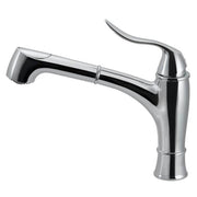 Surge Pull Out Kitchen Faucet