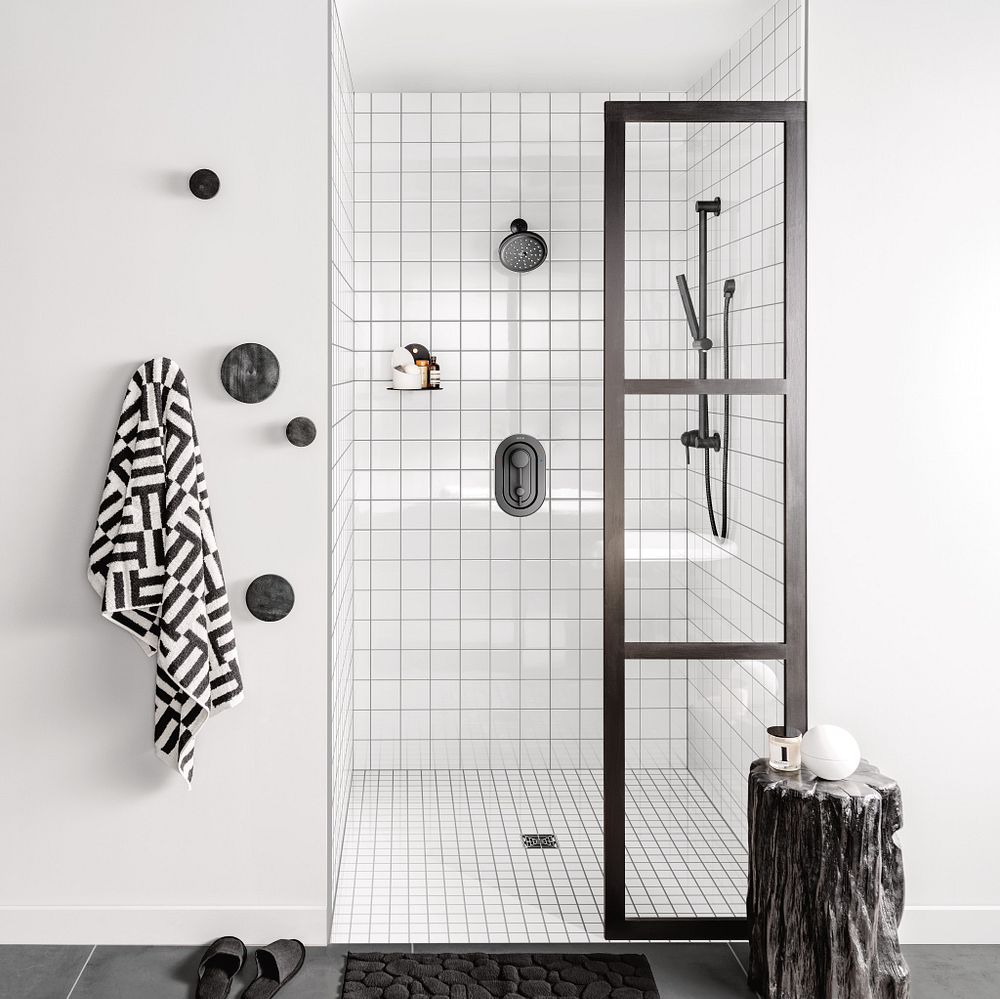 Moen Eco-Performance Handheld Shower