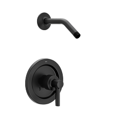 Moen Aluma SHOWER ONLY TRIM CYC NH CH 57912
