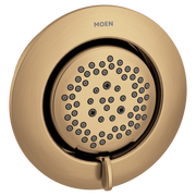 Moen TS1422 Mosaic Chrome Body Spray