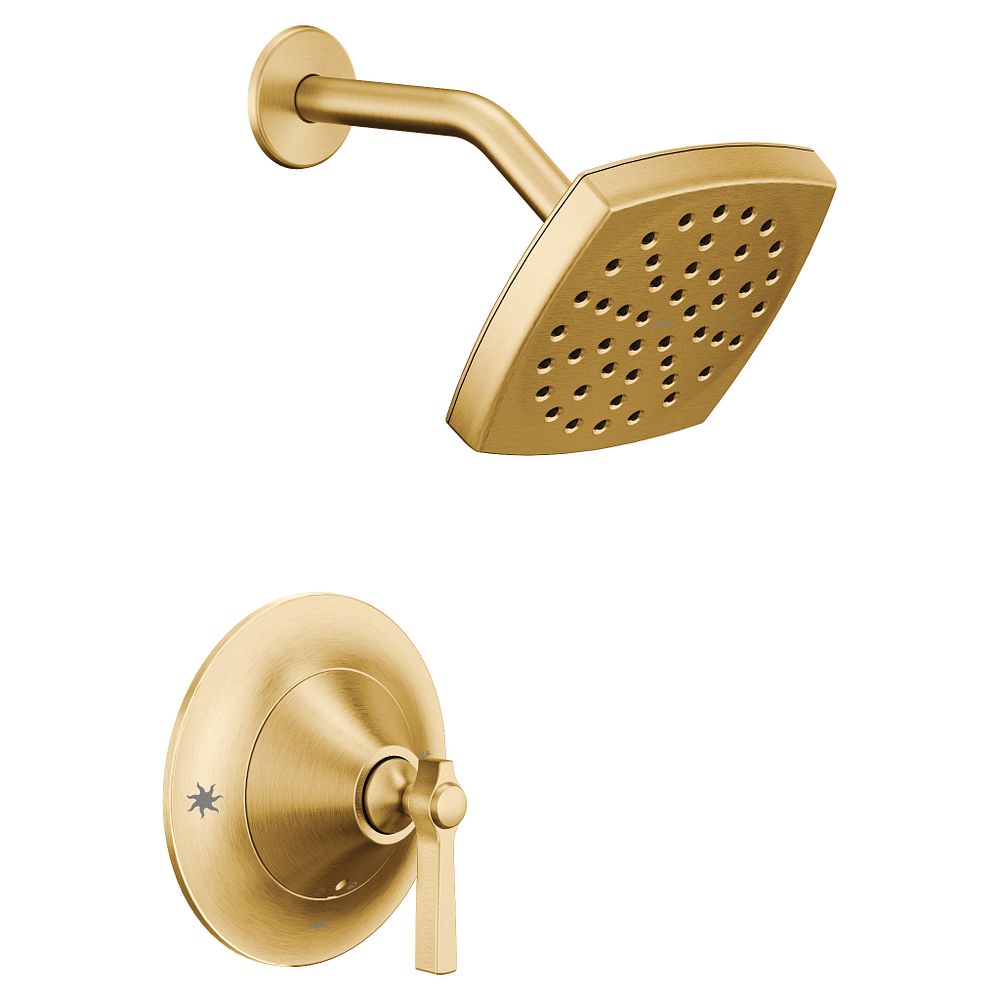 Flara Posi-Temp(R) shower only