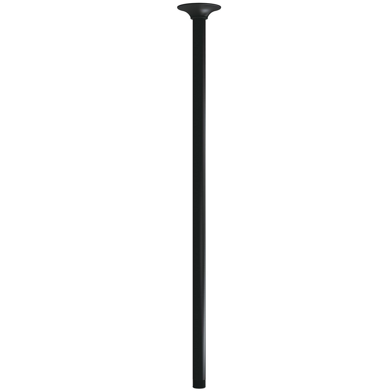 24" Ceiling Mount Showerarm