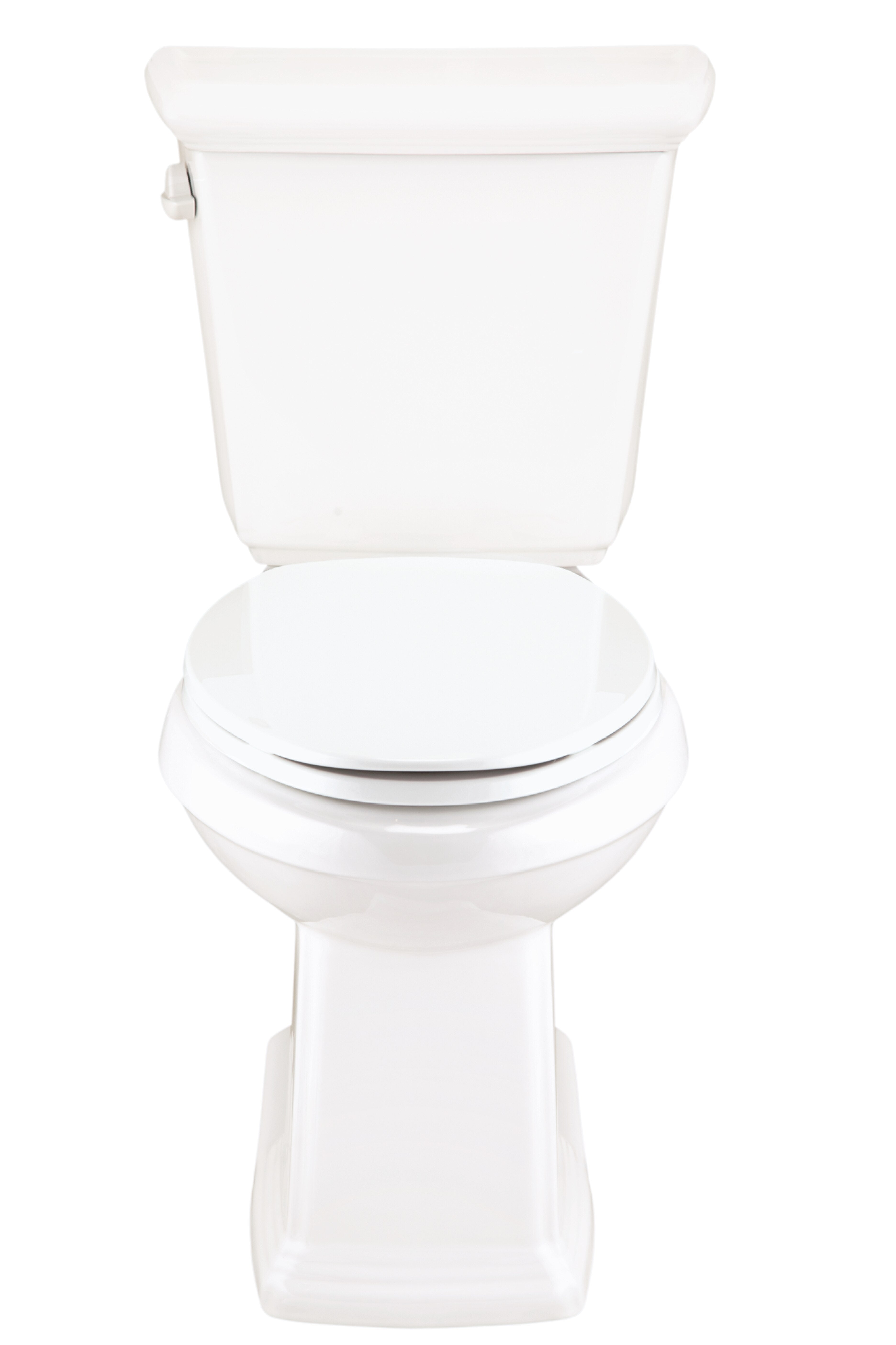 Logan Square™ 1.28 gpf 12" Rough-In  Two-Piece Elongated ErgoHeight™ Toilet