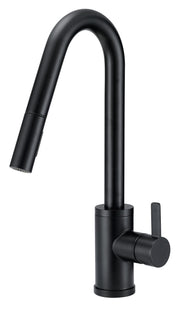 Amalfi™ Single Handle Pull-Down Kitchen Faucet