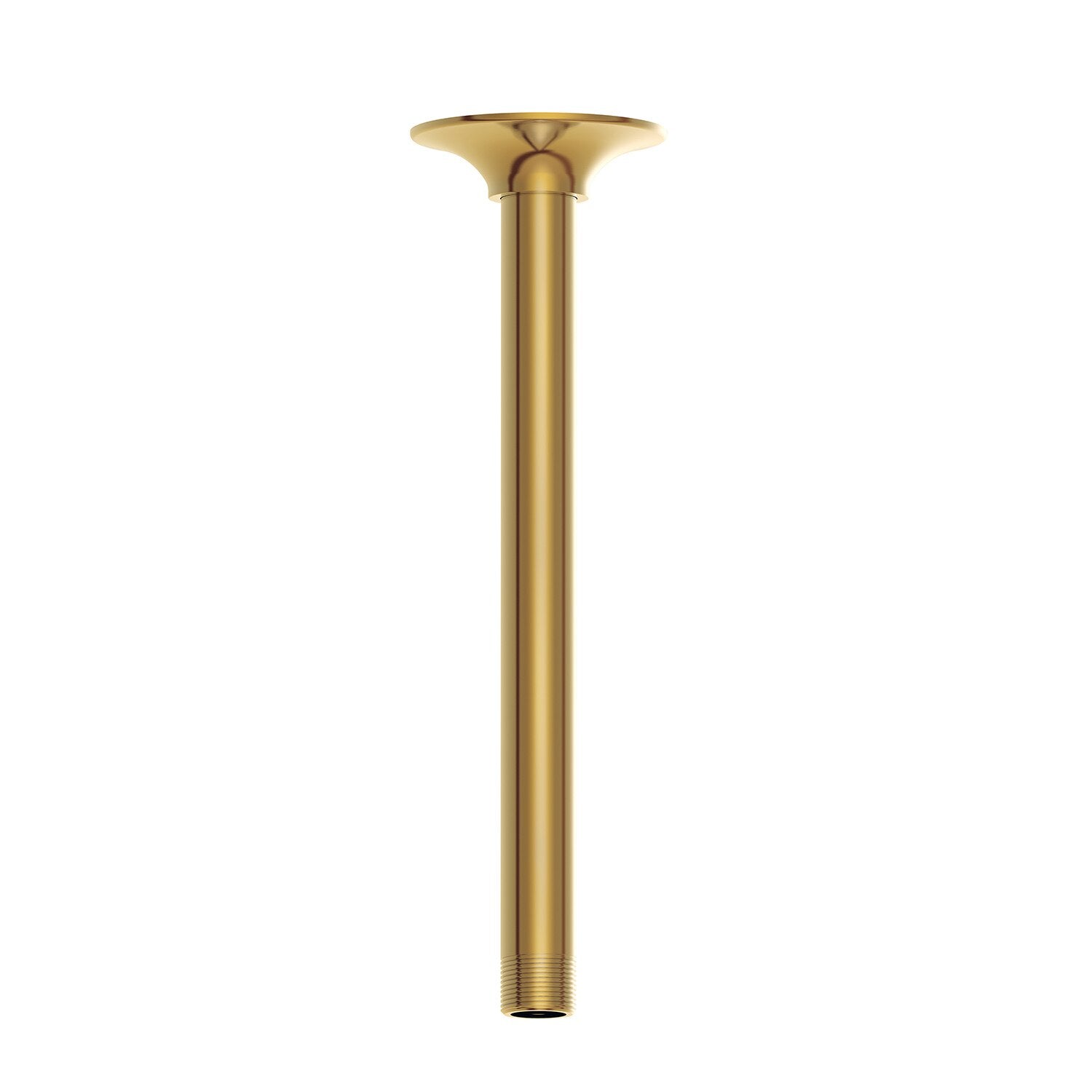 10" Ceiling Mount Showerarm
