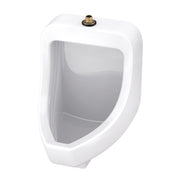 Gerber Lafayette 0.125/0.5/1.0gpf Urinal Washout Top Spud 13-3/8" Width