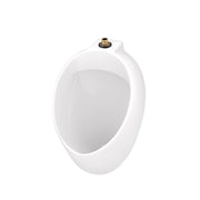 Gerber Layfayette™ 0.125 - 1.0 gpf Pint Washout Top Spud Urinal