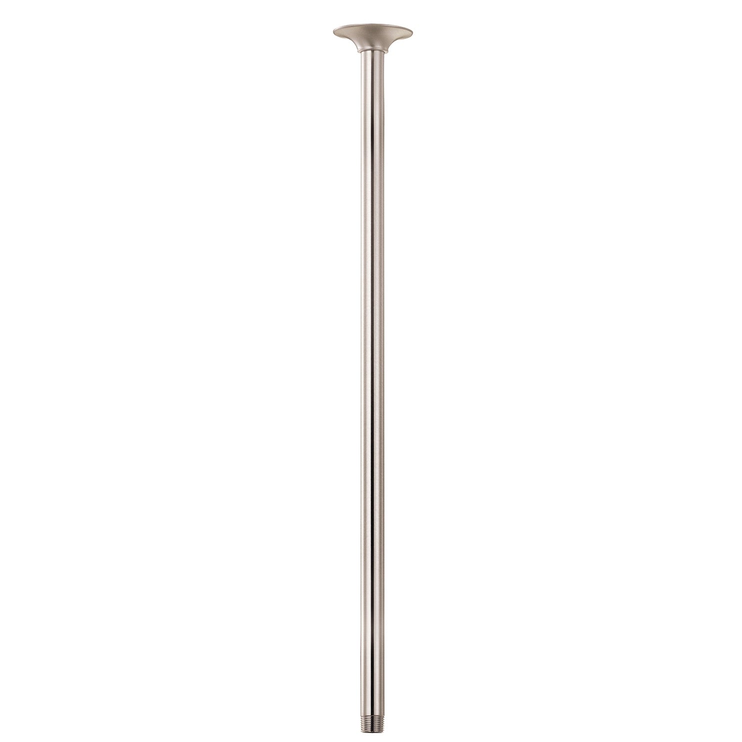 24" Ceiling Mount Showerarm