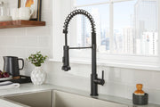 Parma® Single Handle Pre-Rinse Pull-Down Kitchen Faucet