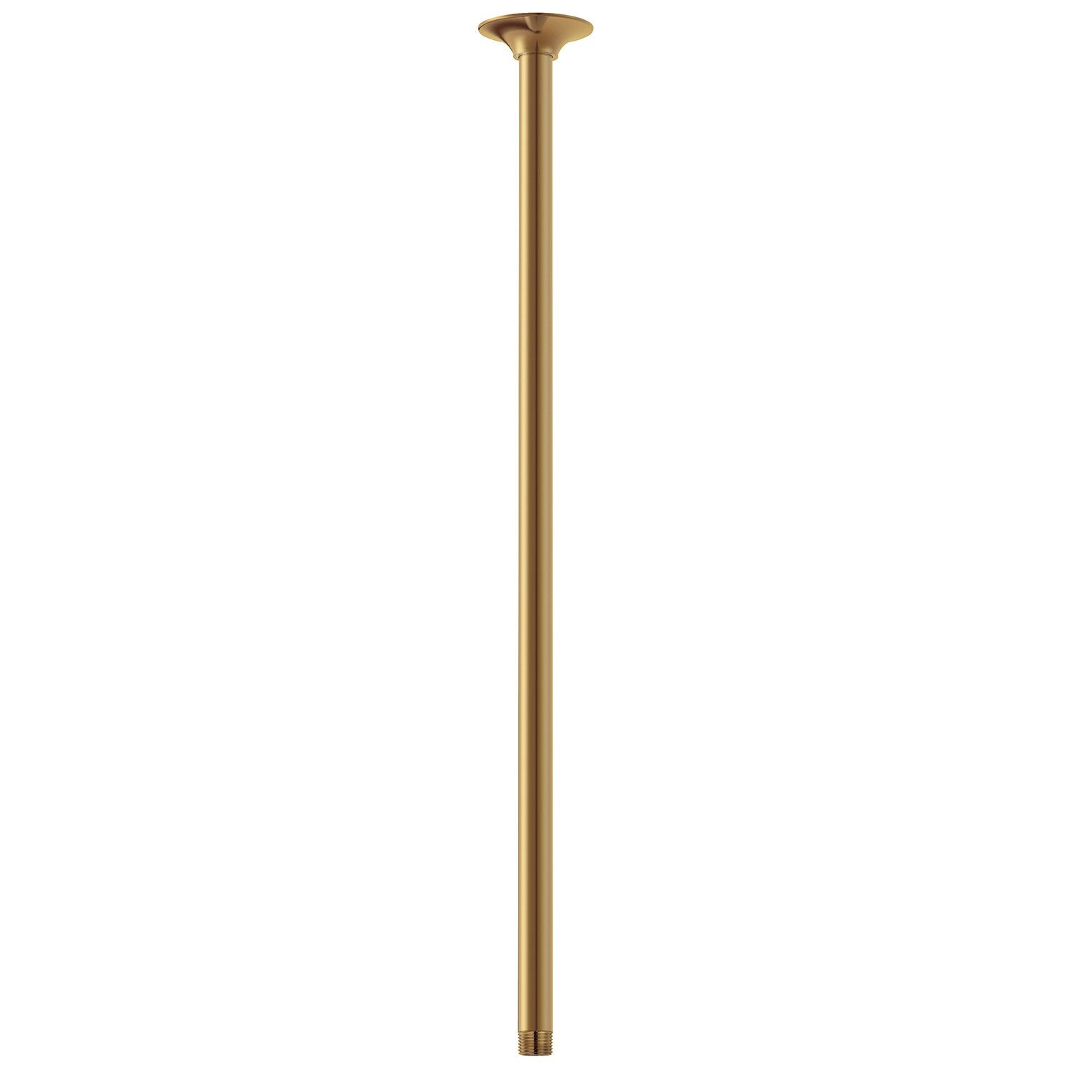 24" Ceiling Mount Showerarm