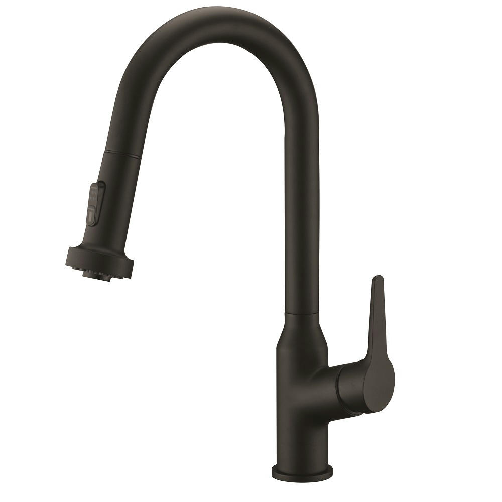 Dawn Single Lever Pull-down Kitchen Faucet AB50 3776
